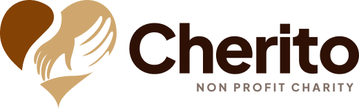 Insight Safari Holidays