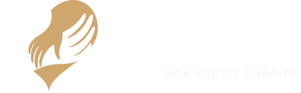 Insight Safari Holidays