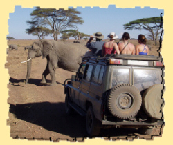 safari uganda trek