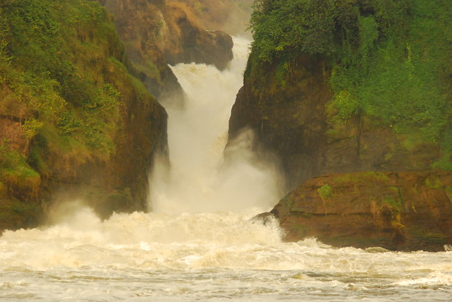 murchison-falls-uganda-trip