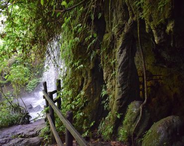 amabeere ga nyinamwiru