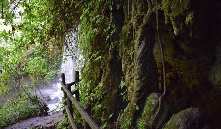 amabeere ga nyinamwiru