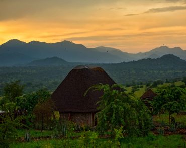 uganda safaris