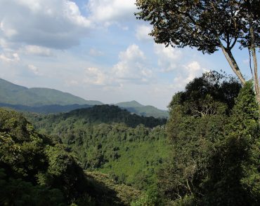 nyungwe forest national park