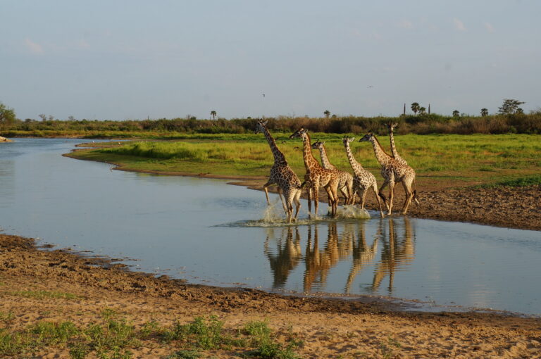 8 Day Safari Tanzania Expedition