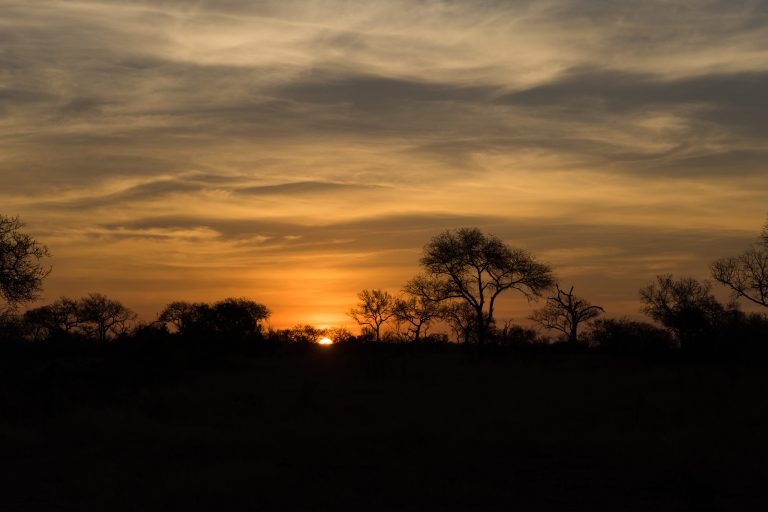 15-Day Uganda Senior Safari Insights