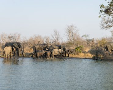 african safari holidays