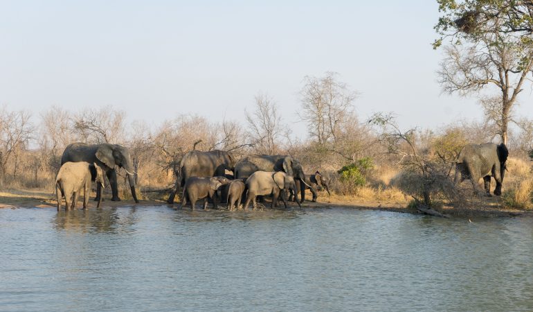 african safari holidays