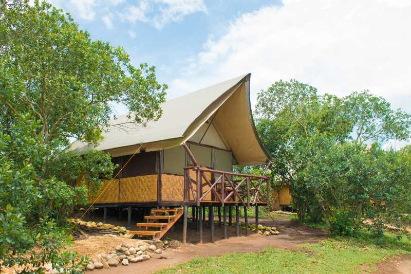 Bush Lodge Tents