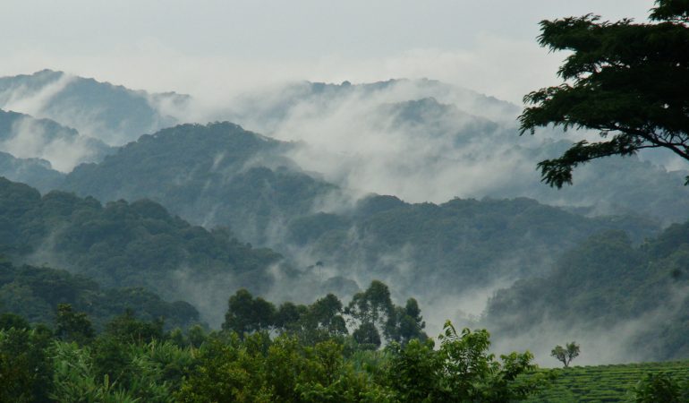 bwindi