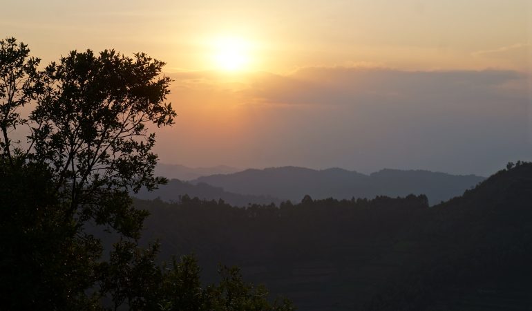 bwindi sunset safaris