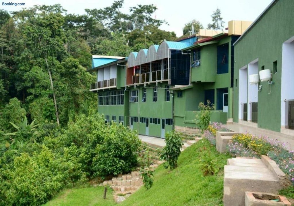 Chimpanzee Lodge Nyungwe
