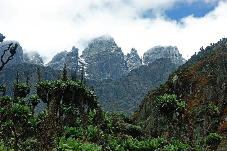 7 Days Mount Rwenzori Climbing, Central Circuit Route