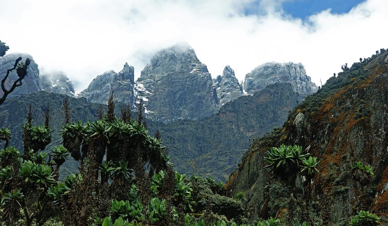 climbing mt rwenzori