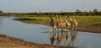 8 day tanzania safari
