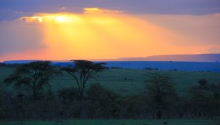 masai mara safari kenya