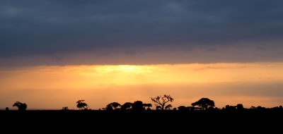 safari tours kenya