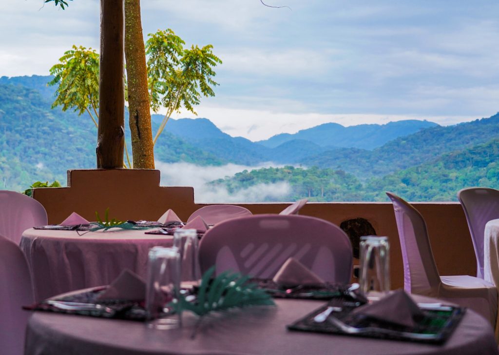 Gorilla Conservation Camp