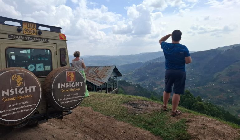 gorilla tours