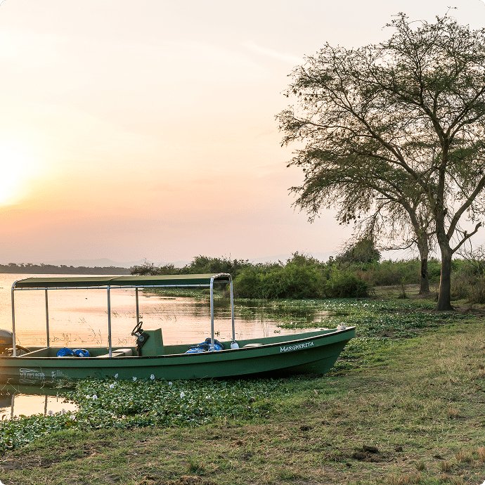 Honey Bear Bush Camp
