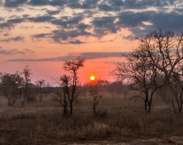 honeymoon-safari-kenya
