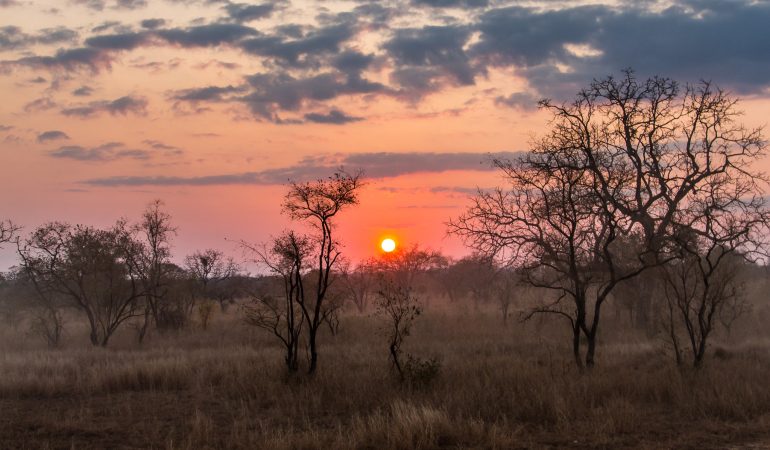 honeymoon-safari-kenya