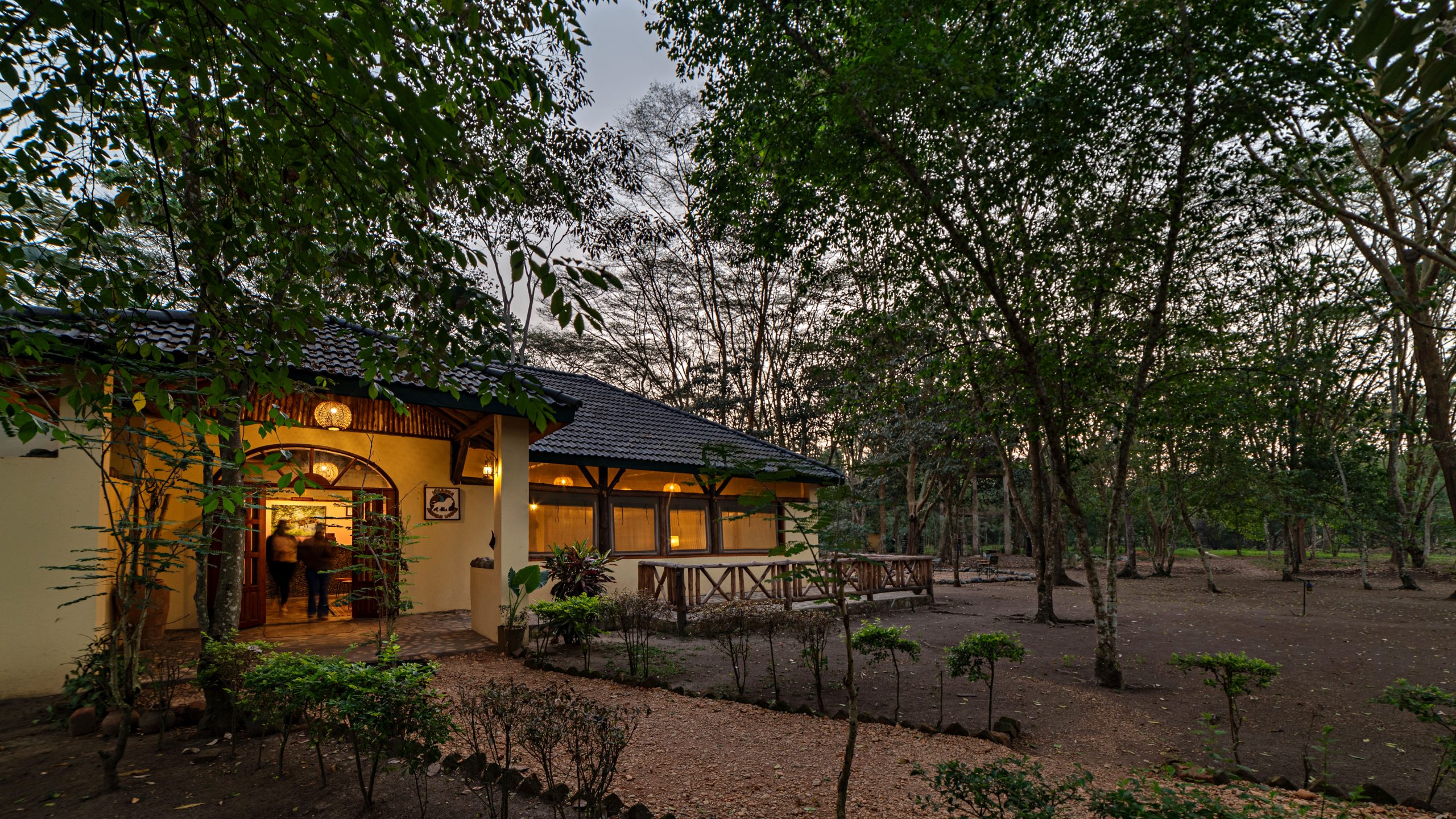 Ishasha Jungle Lodge
