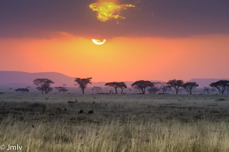 6 Days Kenya Migration Safari