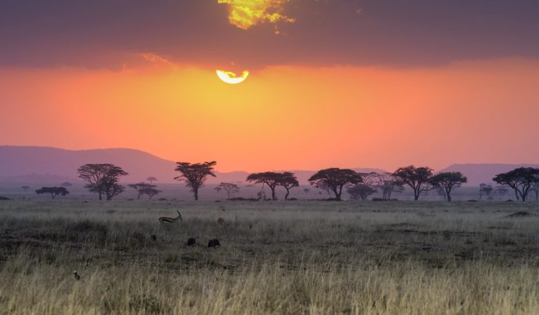 kenya migration tours