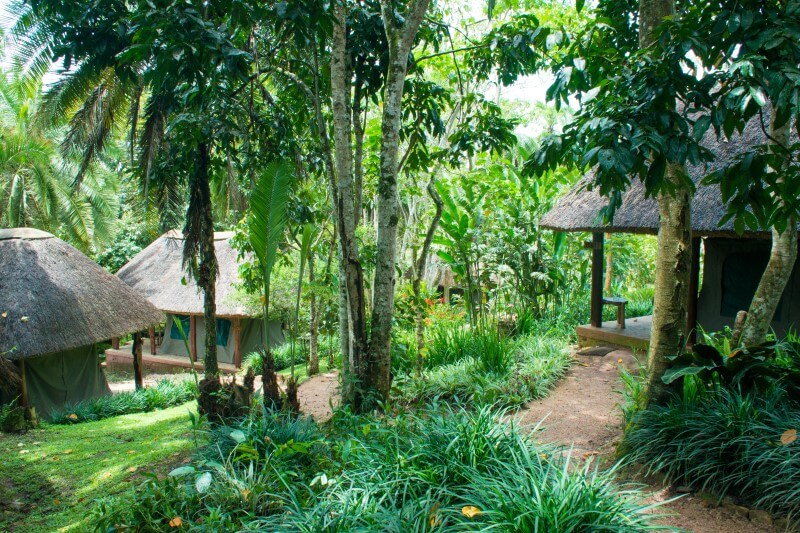 Kibale Forest Camp