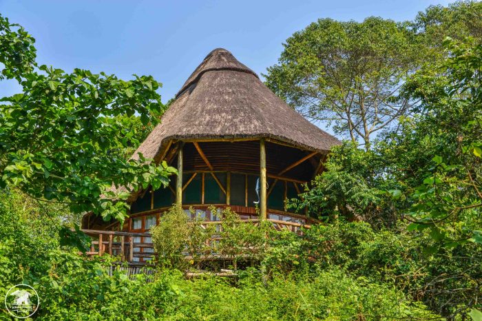 Kibale Tourist Safari Lodge