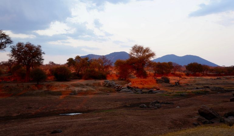 morning in kenya