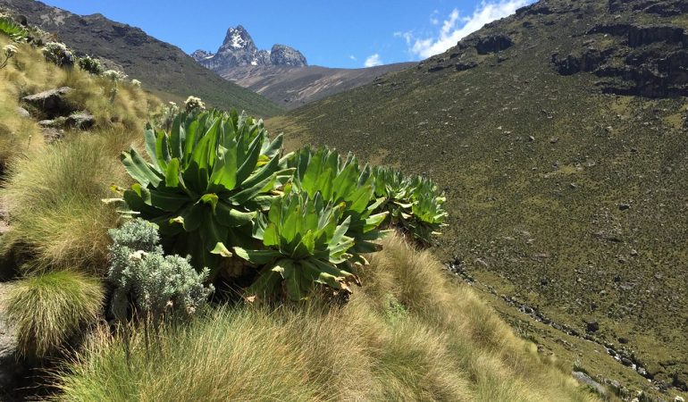 mount kenya tours