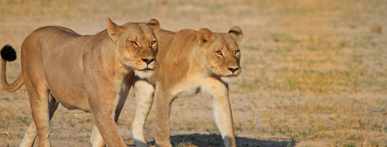 3 Day Safari Namibia