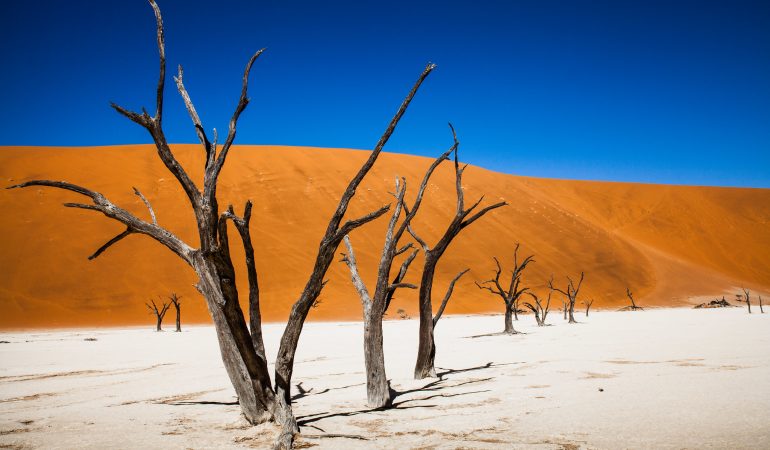 Namibia safaris