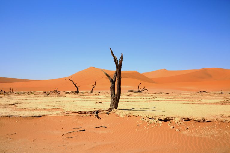 10 Day Safari Namibia