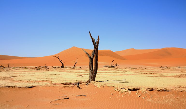 namibia safaris