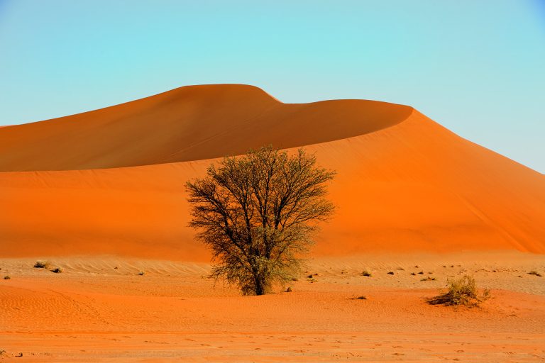 7 Day Safari Namibia