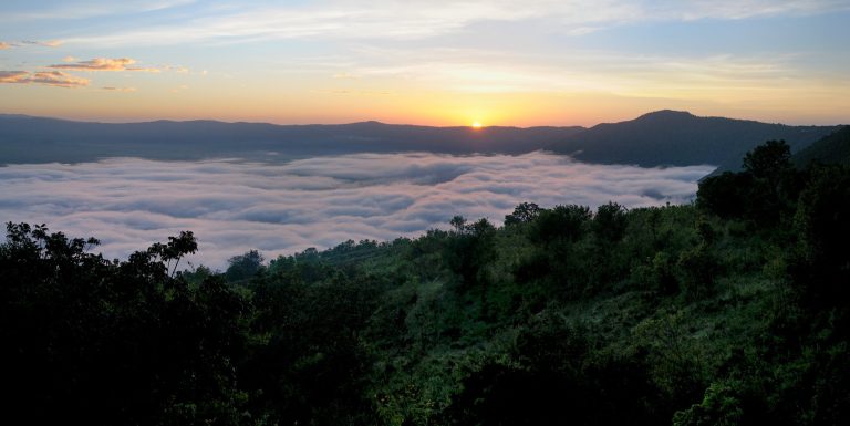 4 Day Tanzania Safari: Ngorongoro, Serengeti, & Tarangire