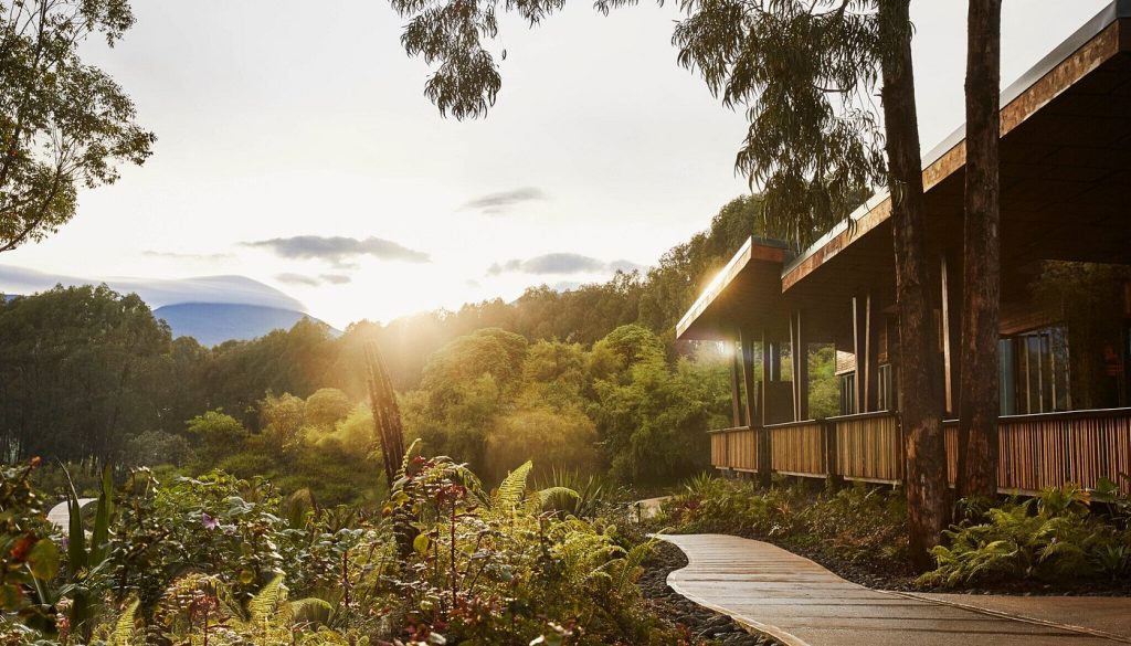 One & Only Gorillas’ Nest