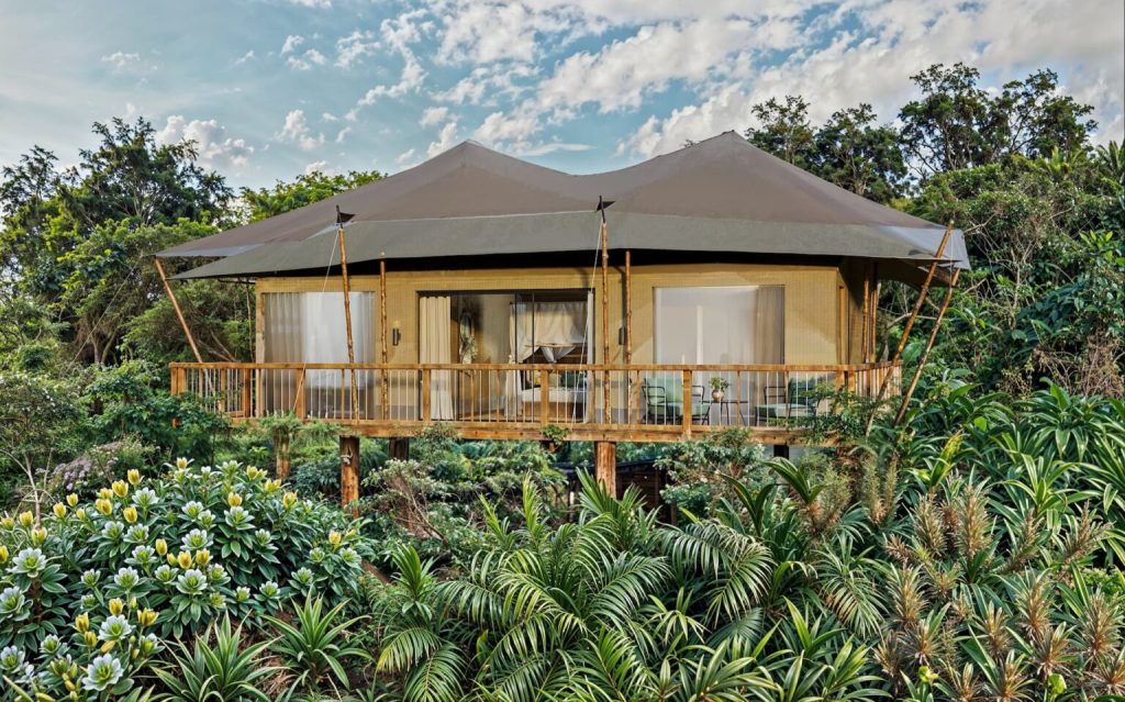Pabidi Lodge (Budongo Forest)