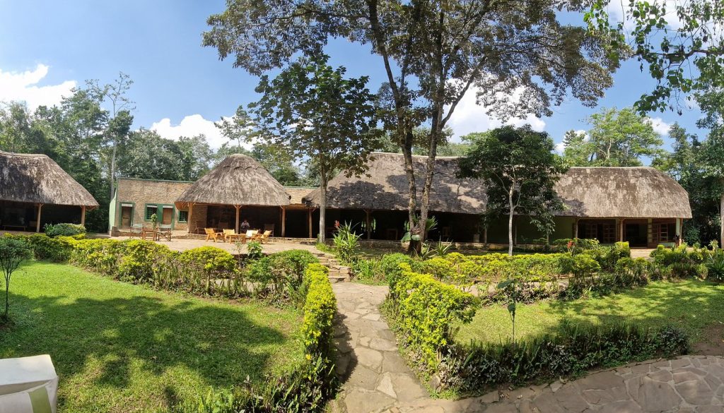 Primate Lodge