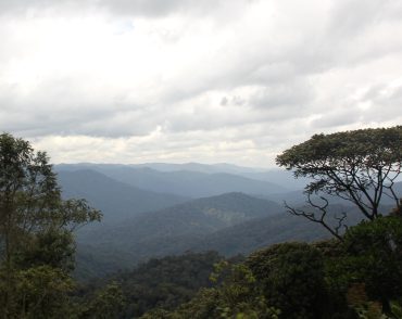 rwanda-budget-safari