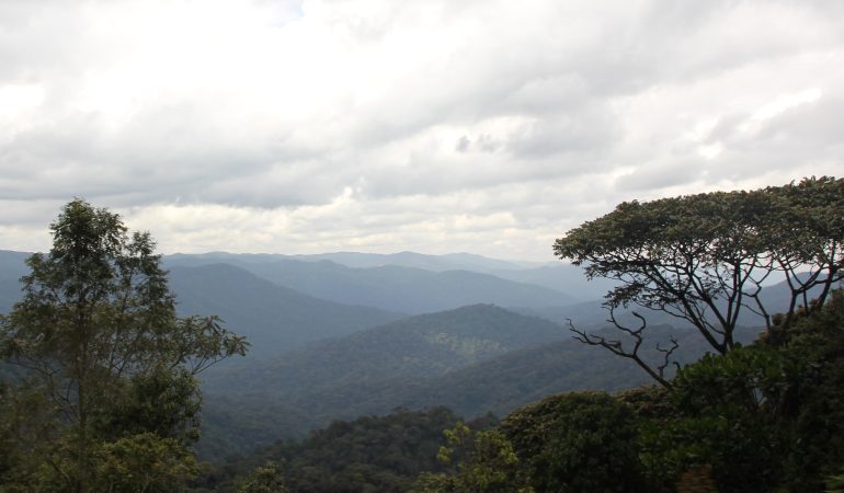 rwanda-budget-safari