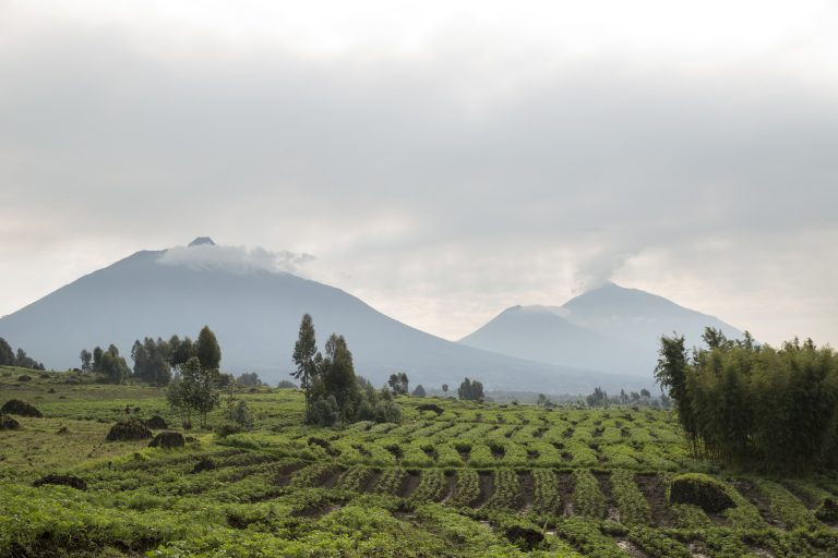 5 Day fly in Rwanda Safari