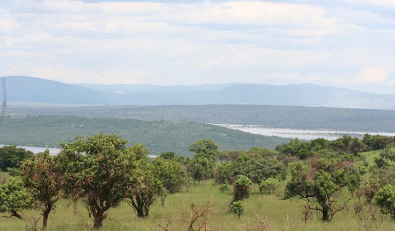 rwanda-photo-safari