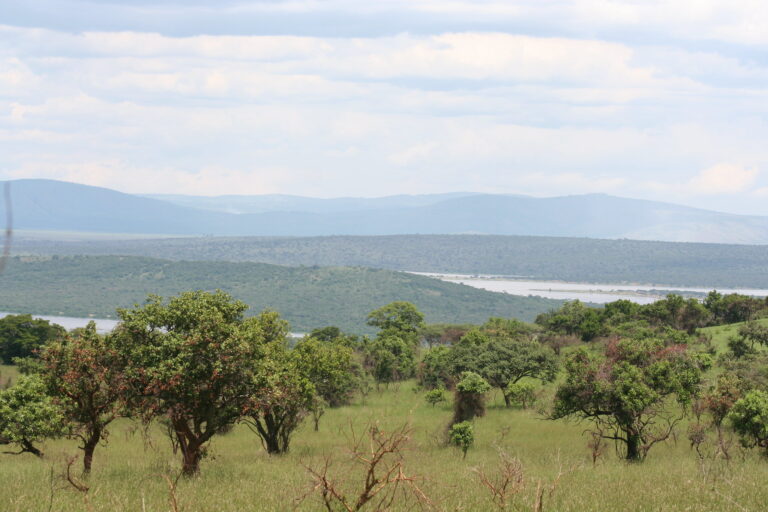 Rwanda Photo Safari
