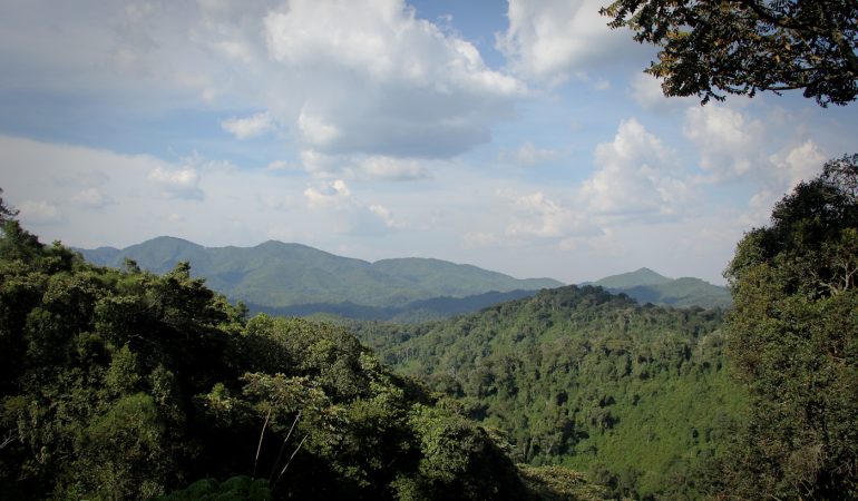 rwanda tour