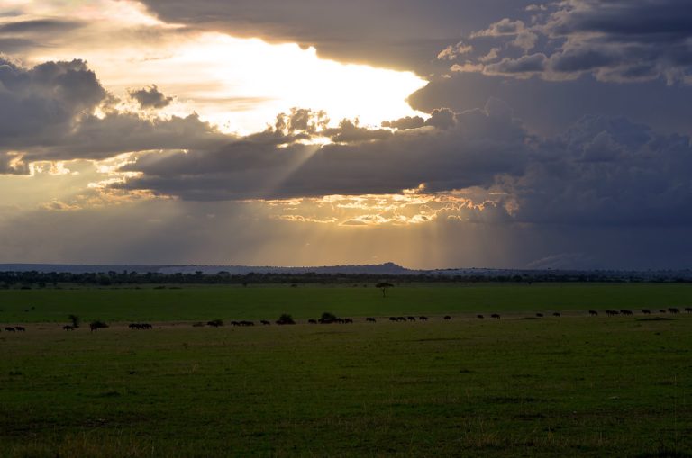 6 Days Tanzania Migration Safari