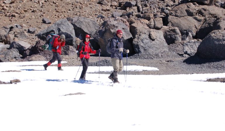 safaris kilimanjaro